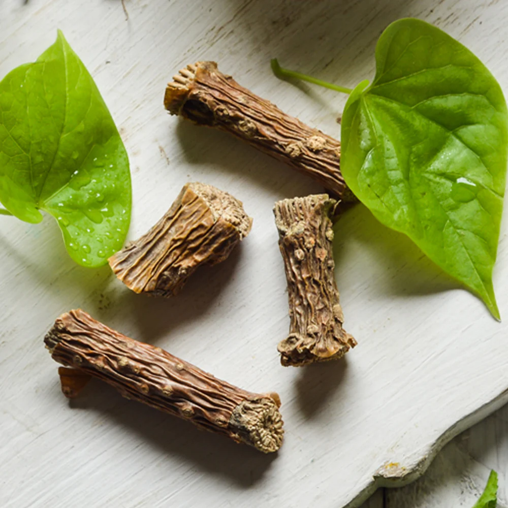 Guduchi, also known as Giloy, is one of the most powerful and respected medicinal plants in Ayurveda. It is called “Amrita”, which means the root of immortality, because of its excellent healing properties. For thousands of years, Guduchi has been used in classical Ayurvedic texts like Charaka Samhita and Sushruta Samhita for strengthening immunity and curing many diseases. Today, Guduchi is widely used in herbal medicines, juices, tablets, and home remedies.